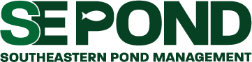 SE Pond